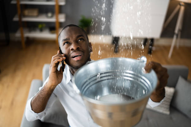 Best Water damage restoration near me  in Robbinsdale, MN