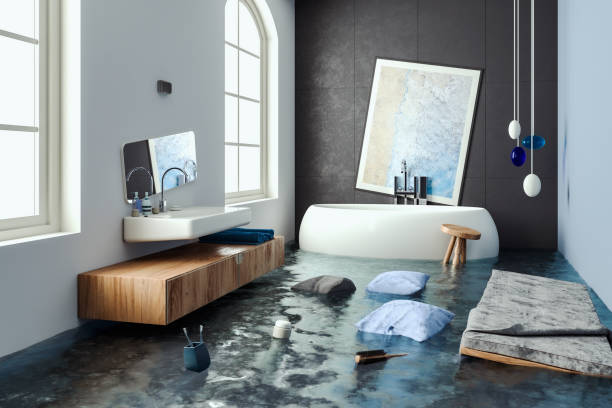 Best Water damage restoration company  in Robbinsdale, MN