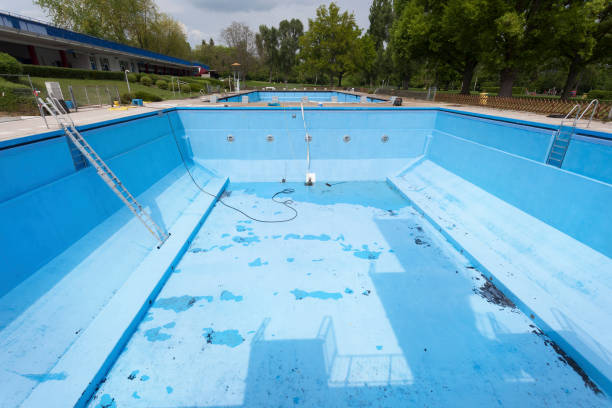 Best Water damage restoration mold remediation  in Robbinsdale, MN