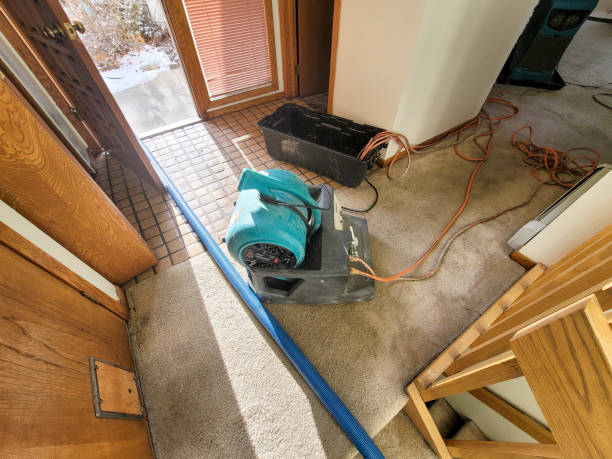 Best Professional water damage repair  in Robbinsdale, MN