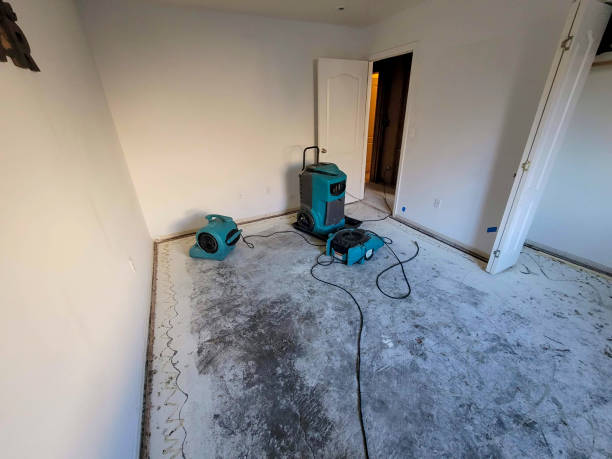 Best Sewage cleanup and water damage restoration  in Robbinsdale, MN