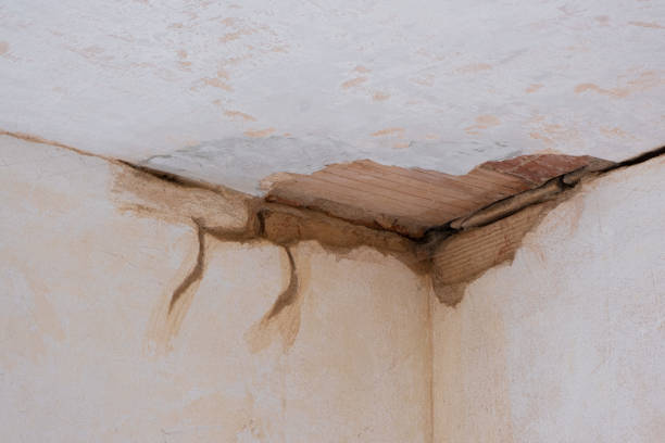  Robbinsdale, MN Water damage restoration Pros