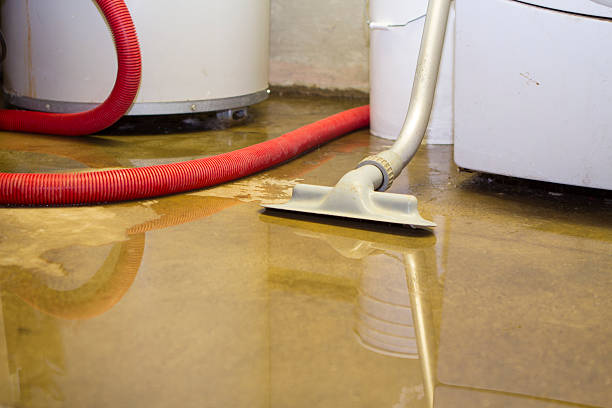 Best Water damage restoration services  in Robbinsdale, MN