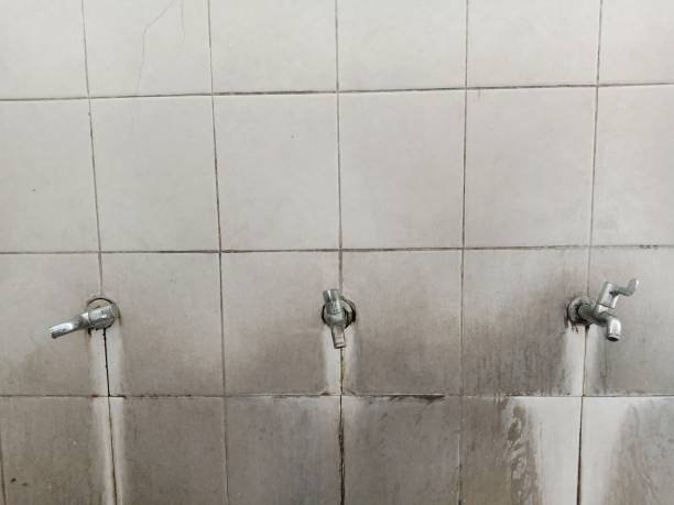 Best Local water damage restoration  in Robbinsdale, MN