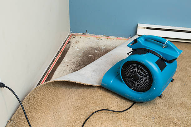 Best Commercial water damage restoration  in Robbinsdale, MN